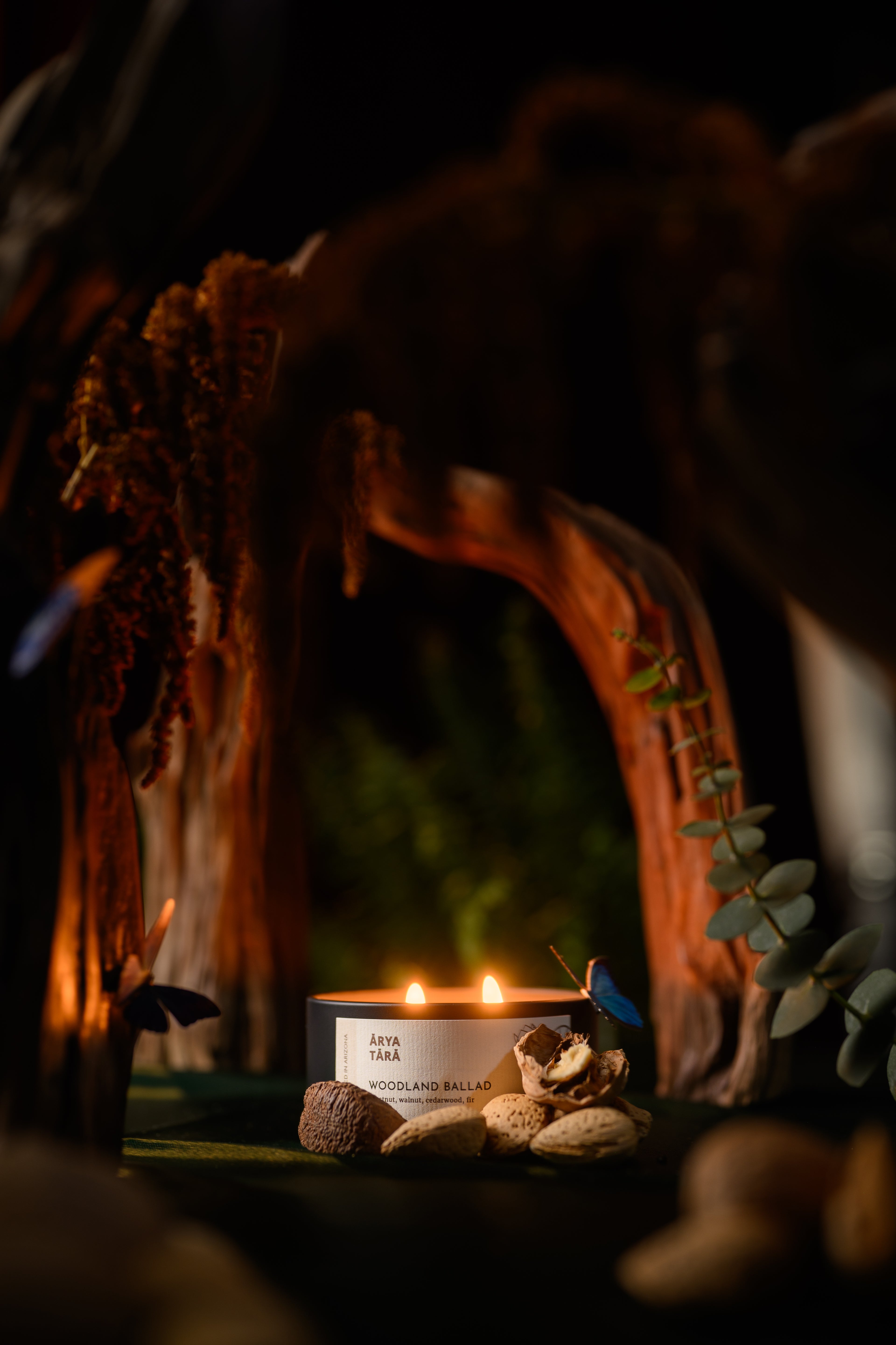 Woodland Ballad Candle | Onyx Tin