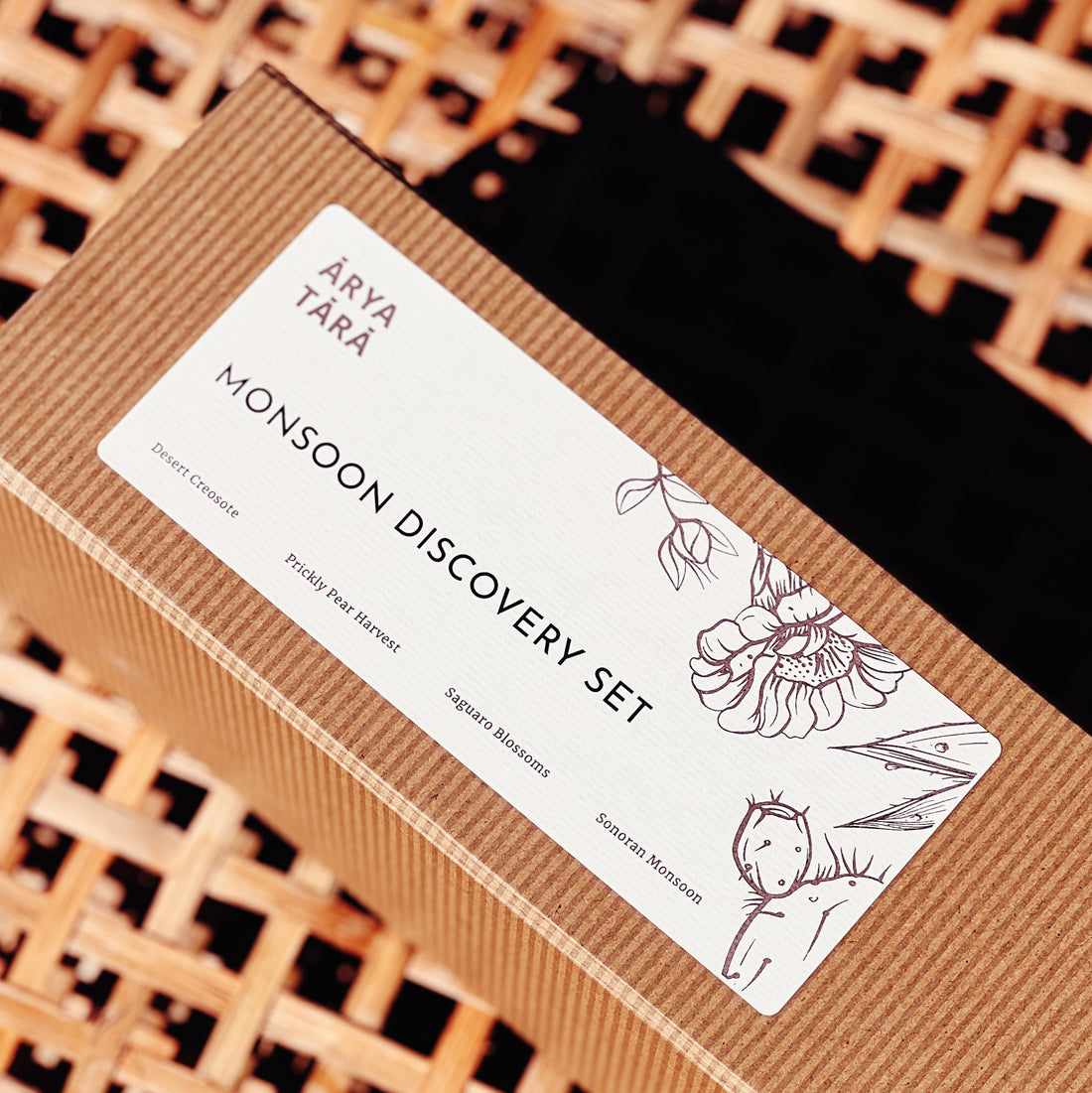 Monsoon Discovery Set