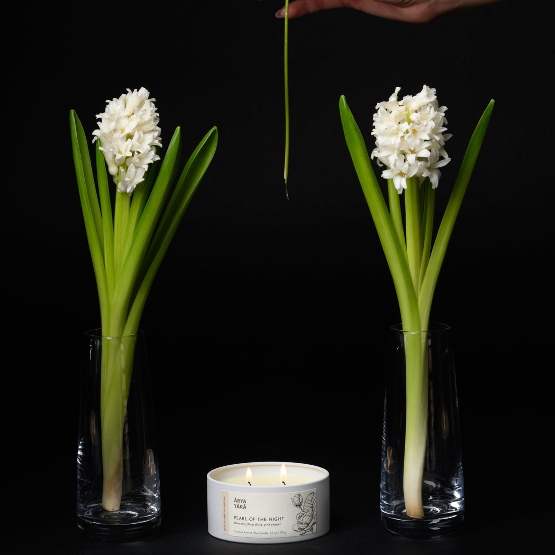 Pearl of the Night Candle | Ivory Tin