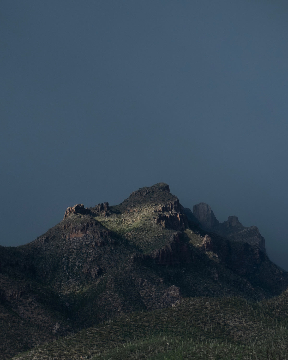 UNTAMED SKIES