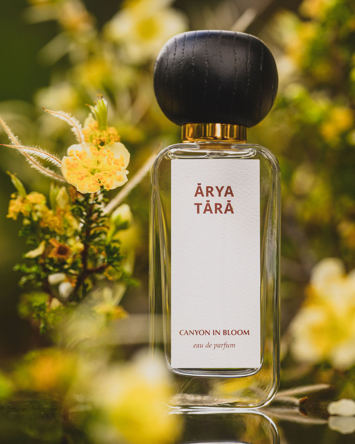 CANYON IN BLOOM