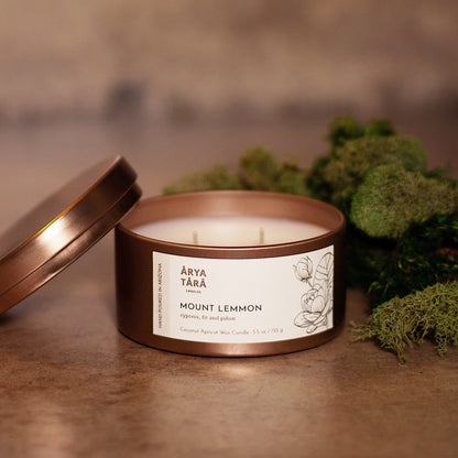 Mount Lemmon Candle | Copper Tin